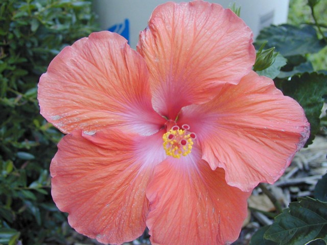 Image021.jpg