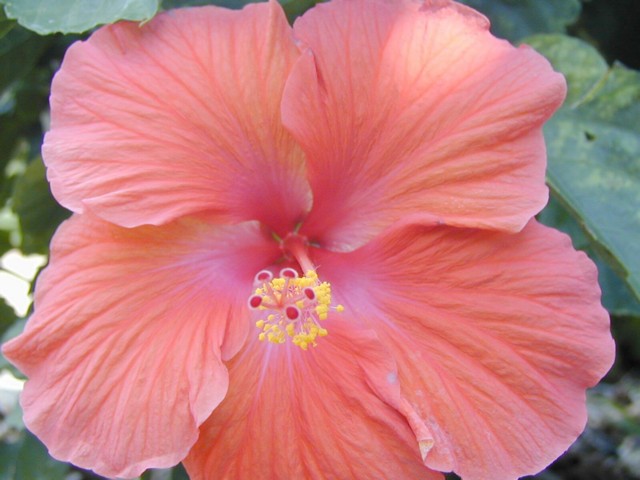 Image022.jpg