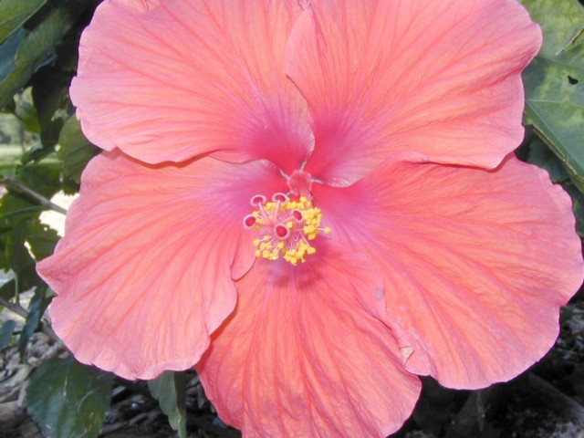 Image023.jpg