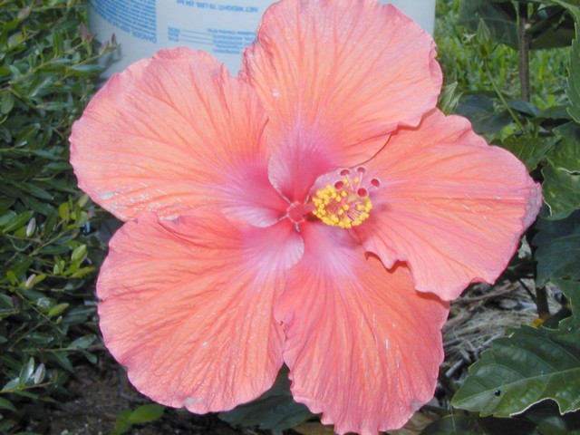 Image024.jpg