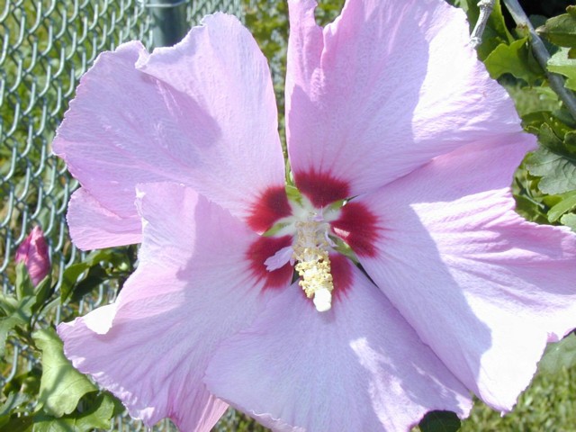 Image025.jpg
