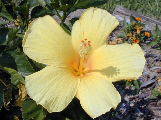 Image026.jpg
