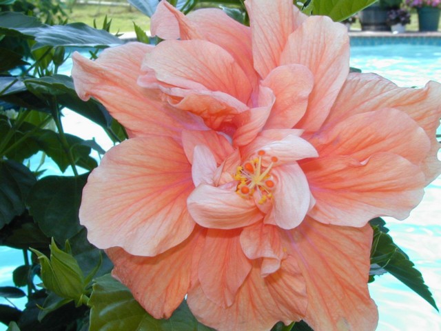 Image027.jpg