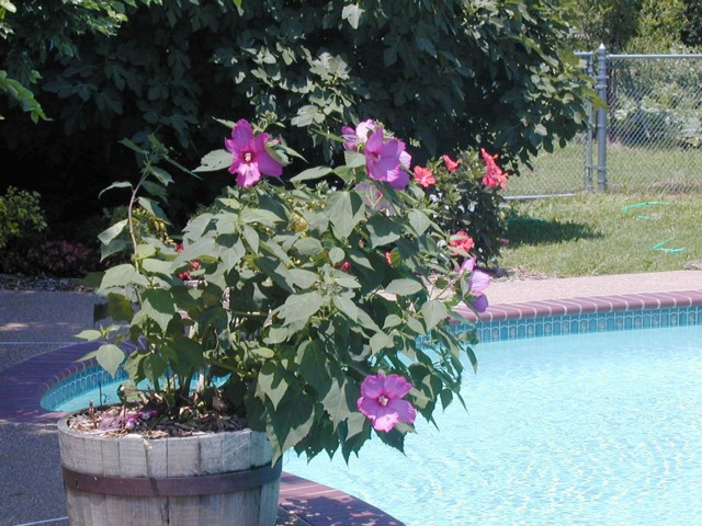 Image028.jpg