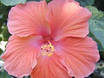 Image022.jpg