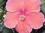 Image023.jpg