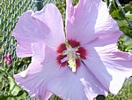 Image025.jpg