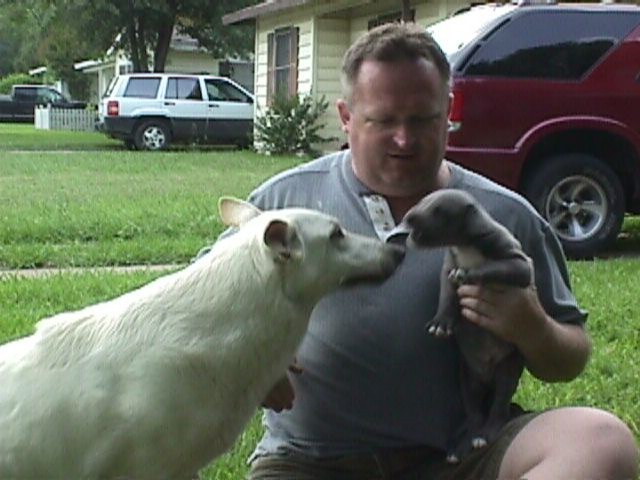 5Weeks004f.jpg