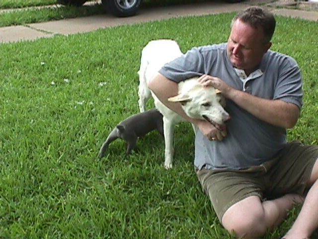 5Weeks005f.jpg