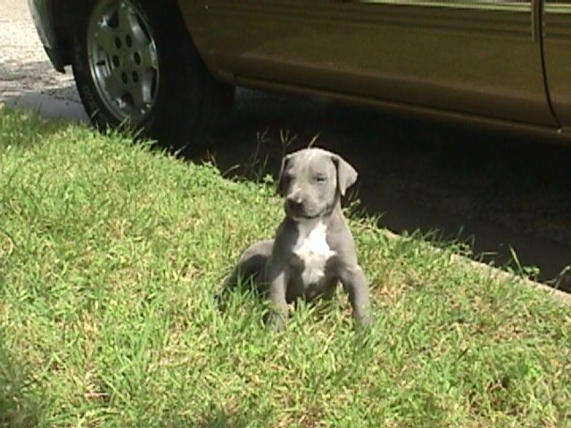 5Weeks006f.jpg