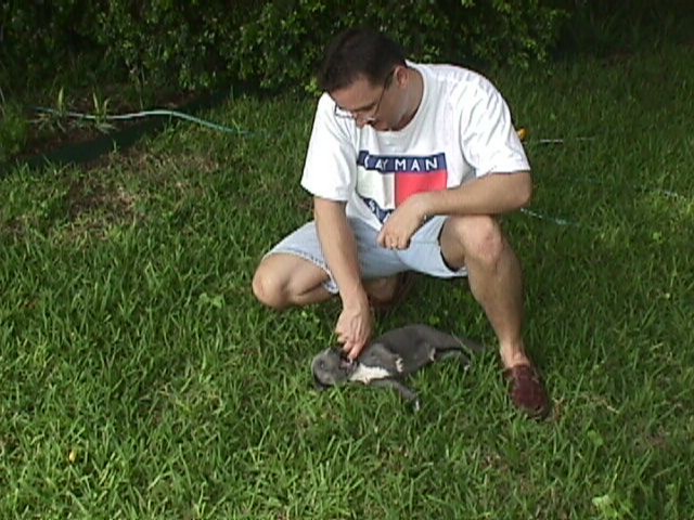 5Weeks011f.jpg