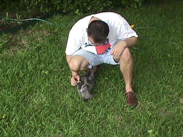 5Weeks012f.jpg