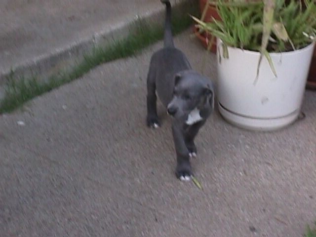 7Weeks001f.jpg