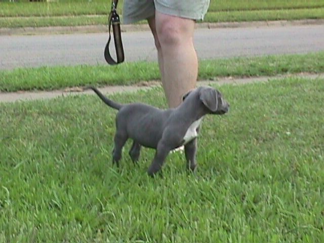 7Weeks005f.jpg