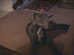 4Months-015F.JPG