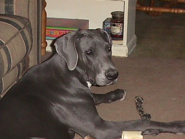 6Months-014F.JPG