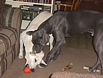 6Months-008F.JPG
