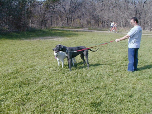 Image008.jpg