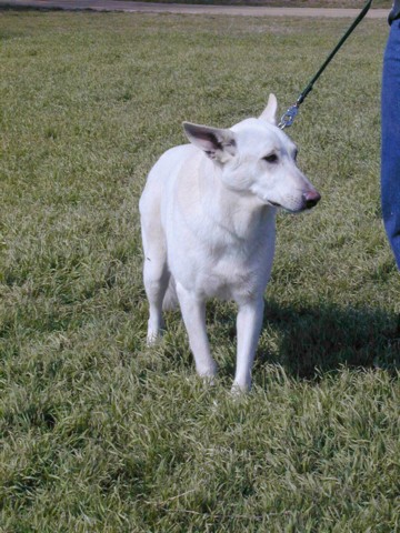 Image009.jpg