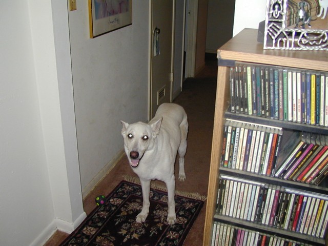 Image003.jpg