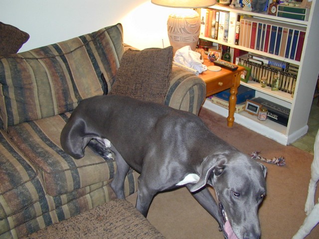Image007.jpg