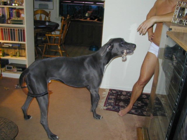 Image008.jpg