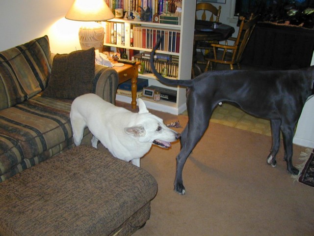 Image009.jpg