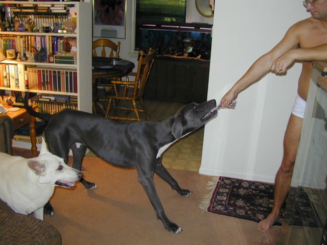 Image010.jpg