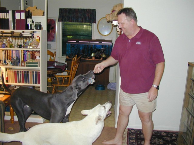 Image013.jpg