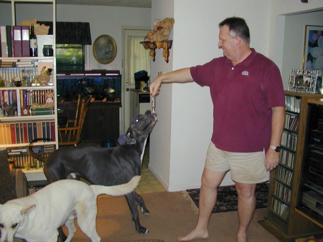 Image014.jpg