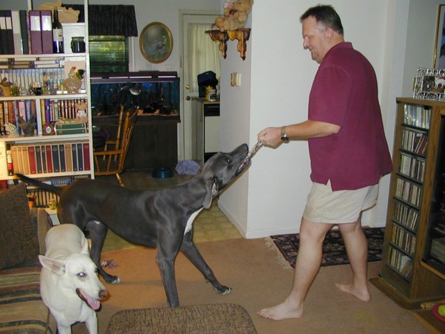 Image015.jpg