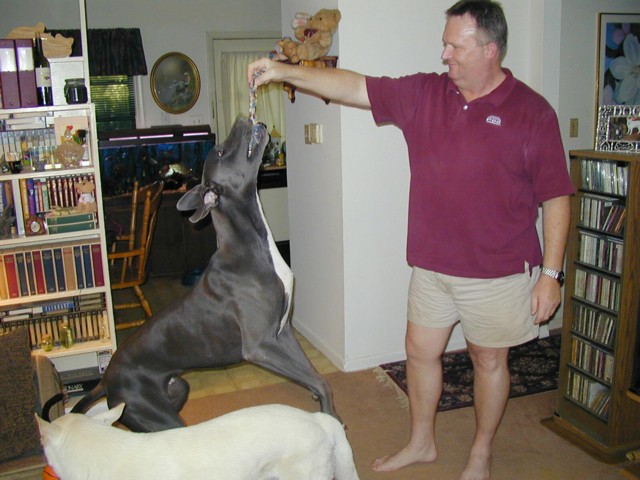 Image016.jpg