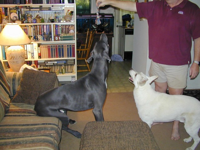 Image017.jpg