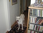 Image003.jpg