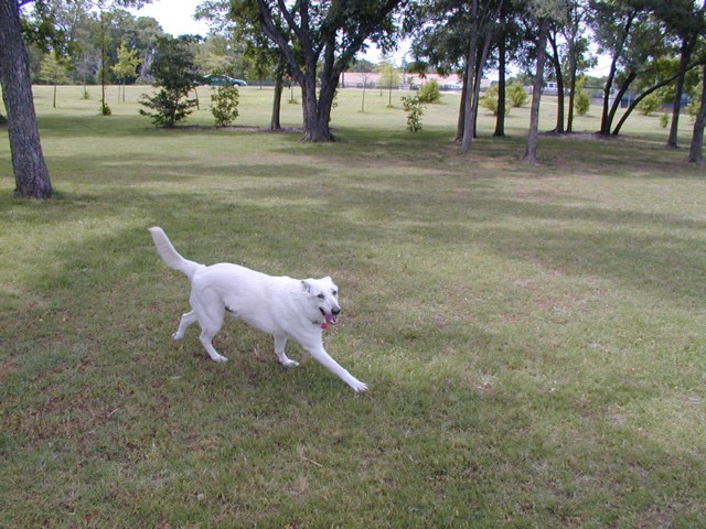 Image001.jpg