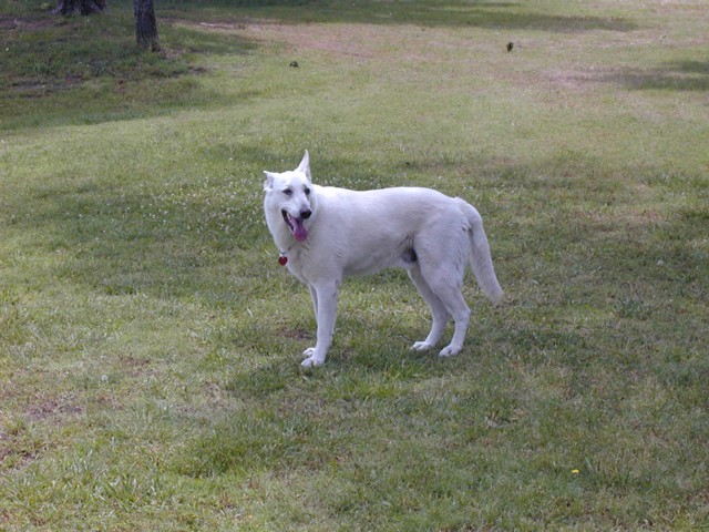 Image004.jpg