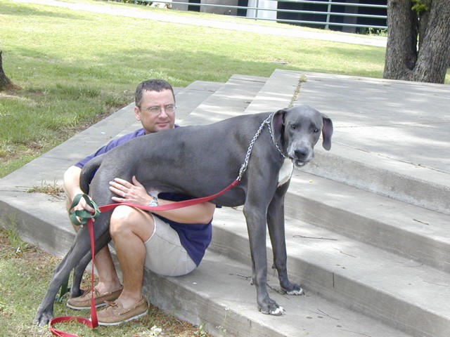 Image007.jpg