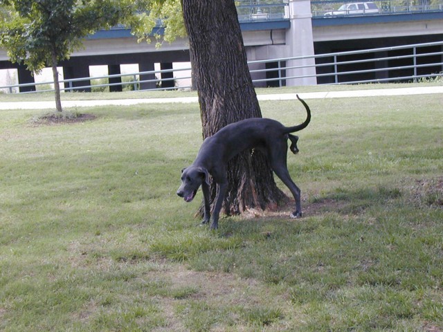 Image019.jpg