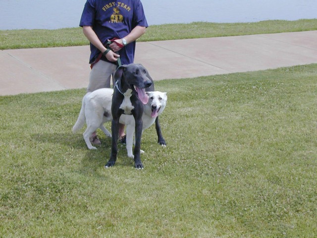 Image035.jpg