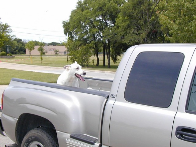 Image037.jpg