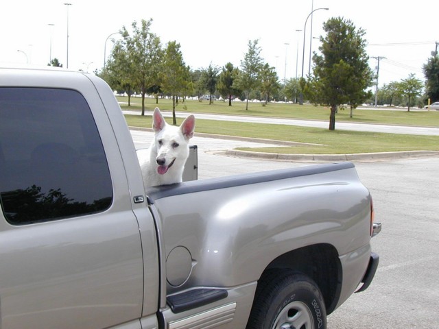 Image038.jpg