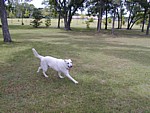 Image001.jpg