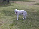 Image004.jpg