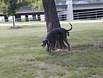 Image019.jpg