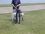 Image035.jpg