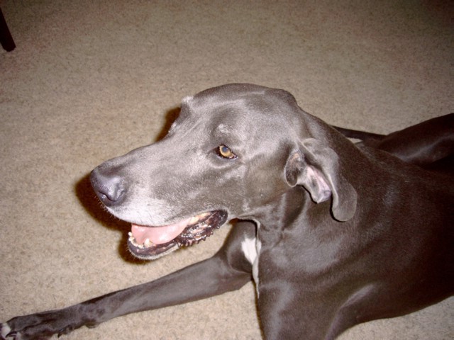 SIMG0001.JPG