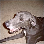 SIMG0001.JPG