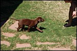 DSC_0026.JPG