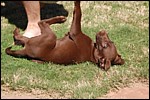 DSC_0028.JPG