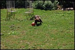 DSC_0030.JPG